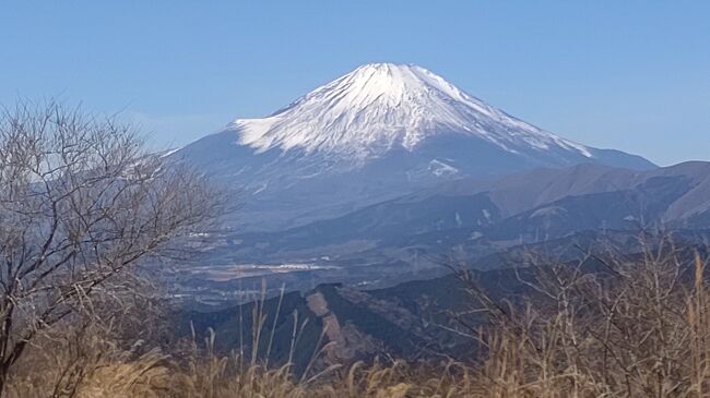 毎年初詣に行ってる最乗寺、帰りは御殿場のアウトレットに行ってたけど物欲がなくなってきたので富士山が見える所を探して大野山に行く事にしました。<br />車で頂上近くまで行けて15分位歩くと頂上です。<br />