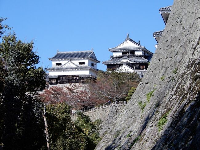 　友達夫婦との南九州の旅から早半年。 <br />今度は四国にある9つの名城をめぐる旅に参加しました。<br /> 国内でも海外でもお城巡りは大好きです！ <br />しかも今回は、いくつかのお城では現地の専門ガイドさんが<br />ご案内して下さるとのこと。<br />嬉しいですね～。<br />　今回のツアー、最後の観光は日本100名城で現存する十二天守も<br />ある松山城！ここは何度か訪れたことがあるし、確か<br />天守にも登っていると思うんだけど、専門ガイドさんがついて<br />案内して下さるのは初めて。<br />ガイドさんに案内してもらうと全然違うから、楽しみ、楽しみ。