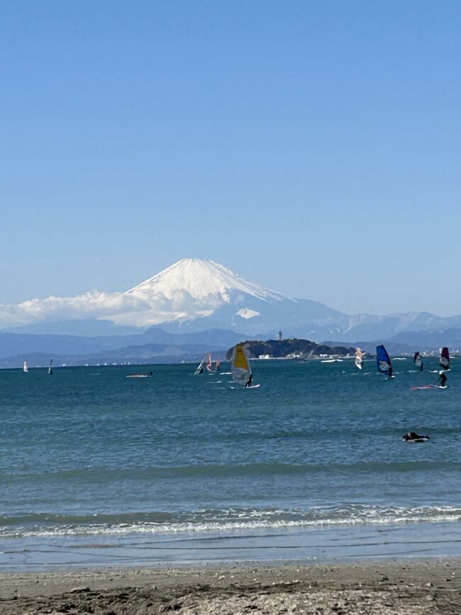 サムティの優待が１枚余っていて、期限が２月末ということで、東京箱崎に泊まり、葉山・逗子に行ってきました。<br />ANAマイルが貯まっていて、飛行機で行きたかったのですが、既に満席だったので、新幹線で移動。<br />JR西のおとなびを使うと、首都圏のJRは乗り放題で、逗子も追加料金なしで行けます。<br /><br />昔、逗子に住んでいて、逗子は何回も行っているのですが、葉山は行ったことがなく、行ってみたいと思っていました。<br />２年前、近くまで行ったのですが、友人と一緒で、自由に動けず、行く機会を逸していました。<br />逗子から葉山は４－５kmぐらいなのですが、昔は東京に働きに行っていて、車もなかったので、行かなかったのか。<br />というか、東京・横浜・鎌倉に関心があり、あまり関心が無かったのかもしれません。<br /><br />前日は、関東に雪が降りましたが、晴天の葉山へ、イザ出発。<br />