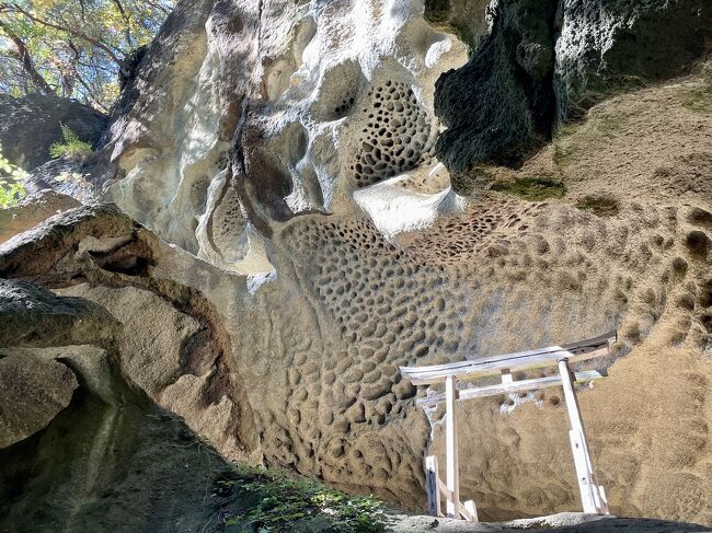 そろそろ元気なうちに山寺には行ってみたいなぁとずっと思っていました。<br /><br />ある時、裏山寺の垂水遺跡の写真を見て「ぜったいに行きたい~~!」と思い、現地ツアーを調べたら2名から催行とのこと。<br />友人を誘ったらまだ山寺未踏ということで、1泊2日で山形に出発しました。<br /><br />今年は紅葉シーズンがズレたそうで、ハイキングしながらの紅葉狩りも良かったです。<br /><br /><br />【旅費】羽田~山形 航空券代(往復) 17,640円 ホテル代 7,380円(ダブル) 裏山寺ツアー 3,000円 食事代 7,000円 土産代 5,000円<br />合計 約40,000円(1人)<br /><br />【旅程】1日目 千葉==羽田(リムジンバス)JAL175(07:15~08:15)山形空港着 バスにて山形駅 列車にて山寺駅 裏山寺ツアー<br />---ランチ(鶏そば)--山寺散策ーーー列車にて山形駅---ホテル着<br /><br />2日目 ホテルチェックアウト---山形駅---山形市郷土館---県立博物館---山形美術館---文翔館----ランチ---山形まるごと館---山形駅===バスにて山形空港へ JAL178(19:10~20:15)羽田==(リムジンバス)千葉駅<br /><br /><br />