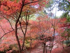 紅葉の隠れた名所を訪ねてみた 1、 シーズンを過ぎた紅葉狩りだったがまだ色づいていた