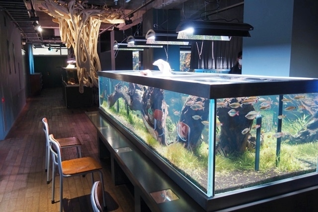 ■みなとやま水族館<br />https://minatoyama.jp/<br /><br />■L'AVENUE bis<br />https://www.lavenue-hirai.com/