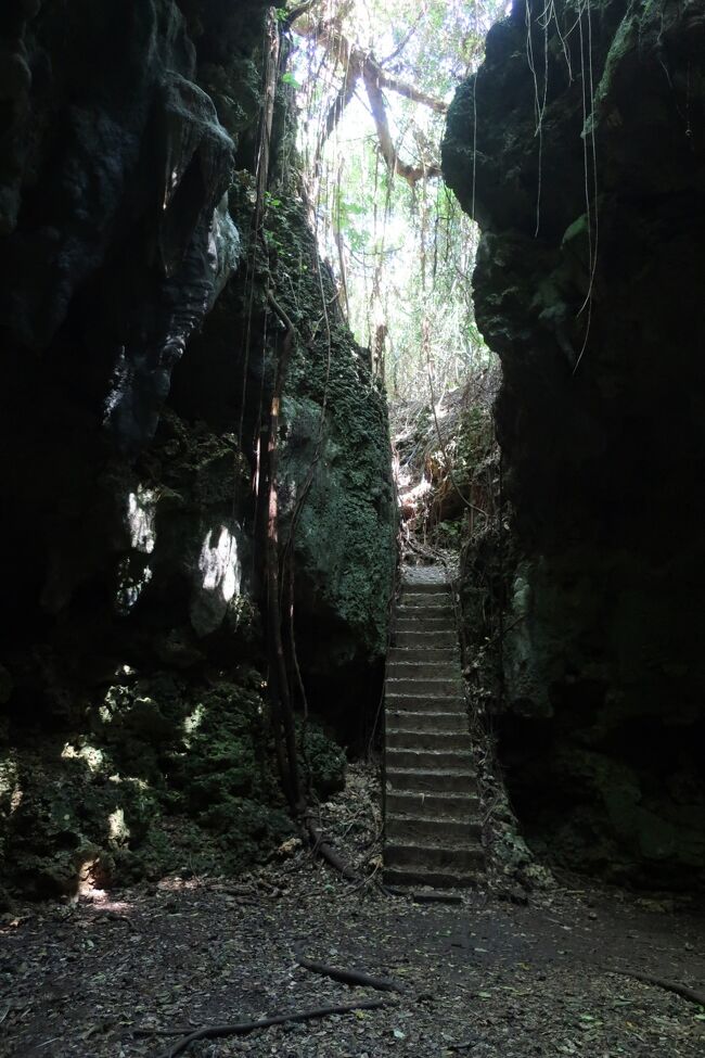 【宮古島3泊4日旅行　その１】下地島・伊良部島サイクリング　