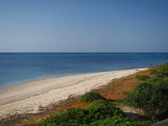 冬の沖縄＊日本で最も早い桜と車で島巡り＊１日目