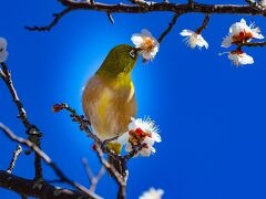 風土記の丘