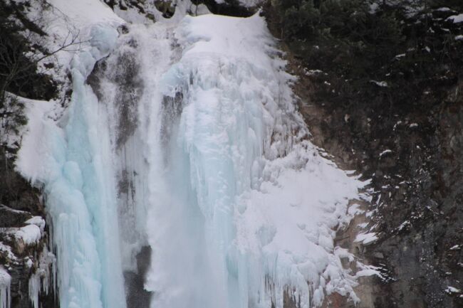 凍結した平湯大滝の結氷まつりを見に平湯温泉へ一泊旅行。<br />まずはタルマかねこおりと青だるへ。