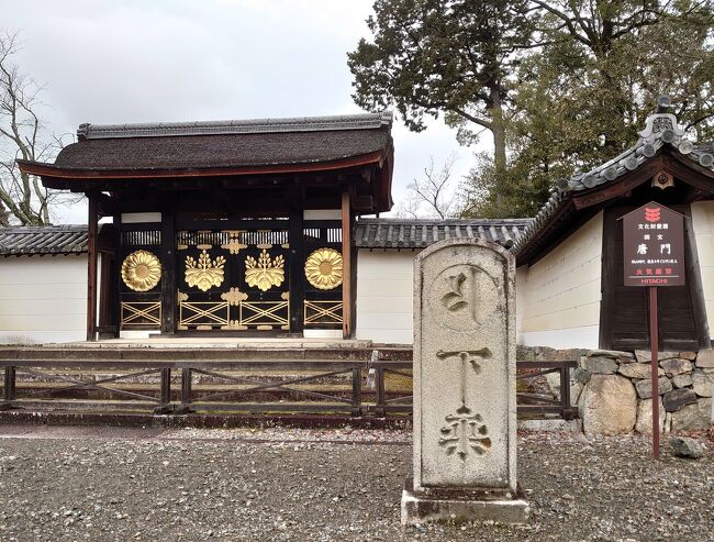 ということで、京都定期観光バスの特別コースに申し込みをしました。<br />いくつかある中で、「二つの世界遺産　密教美術の宝庫　東寺と醍醐寺をたずねて」へ。<br />いつ行ってもワクワクするような東寺では五重塔の初層内部の拝観、<br />その後は制限時間付きで境内を見学。<br />醍醐寺は、三宝院と初公開となる理性院の公開、<br />お昼にはミニ懐石もいただける、との魅力的なコース。<br /><br />珍しく観光バスに揺られてのお任せ観光の1日の様子です。<br />たまには、特に真冬、真夏など自力でたどり着くのが大変な季節には、<br />楽ちんでおすすめです。<br /><br />(表紙写真は醍醐寺、三宝院　唐門。朝廷からの使者を迎える時だけ<br />扉が開けられたとされる門。)<br />