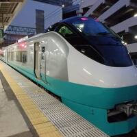 ANA「国内線どこでも片道7,000円」3レグ迷走旅 Vol.4 常磐線特急で帰路へ