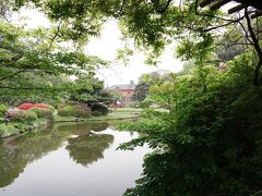 Japan　小石川植物園　温室も面白い　～ミツバチばあやの冒険～