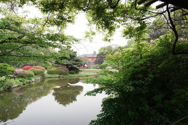 Japan　小石川植物園　温室も面白い　～ミツバチばあやの冒険～