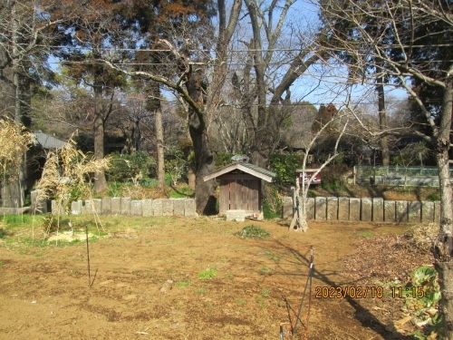 松虫の百庚申の特徴は離れた２ヶ所に青面金剛像のみが各５０基並んでいます。文字庚申塔はありません。基本パターンと違います。２つの場所もかなり離れていたので探すのに苦労しました。印西市松虫には松虫姫伝説の古刹松虫寺があり、その山門前の路傍に青面金剛像を刻んだ 50 基、少し離れた杉自塚（第二地点）に同じ仕様の 50 基と計 100 基が半数ずつ二つの地点にありました。昭和 46 年建立の移転記念碑「松虫百庚申之碑」、享保 18 年（1733）銘の青面金剛像塔や灯篭などの残欠もあり、記念碑の銘文により、「松虫百庚申塔」と呼ばれた青面金剛像群は、元は区内長作に文政 12 年（1829）願主右兵衛氏など有志 17 人によって建立されたが、千葉ニュータウン用地となり、この地に移されたことがわかりました。また『千葉ニュータウン埋蔵文化財調査報告書Ⅱ』から、もとの場所は、松虫寺から 500ｍ位南、現在の北総鉄道の印旛日本医大駅の東側線路の脇あたりと推定されます。同報告書には写真も掲載されてあり、道沿いに百庚申が立ち並ぶ壮観な姿が残されていました。住所印西市松虫７番地。<br />参考資料、2019.3.2 明治大学博物館友の会 2019 年会員発表会、リンク許可済み。<br /> レジュメ 北総の「百庚申」蕨　由美。<br />http://sawarabi.a.la9.jp/190302resume.pdf<br />レジュメ 「印西市域の庚申塔と女人講の石塔」蕨 由美<br />http://sawarabi.a.la9.jp/190210resume.pdf