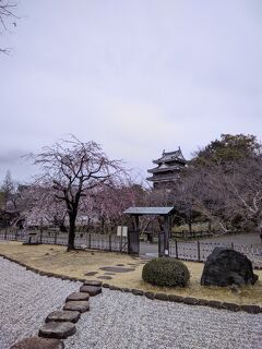 花盛りの静岡・愛知・三重・滋賀、春の旧東海道を行く(その3・西尾市)