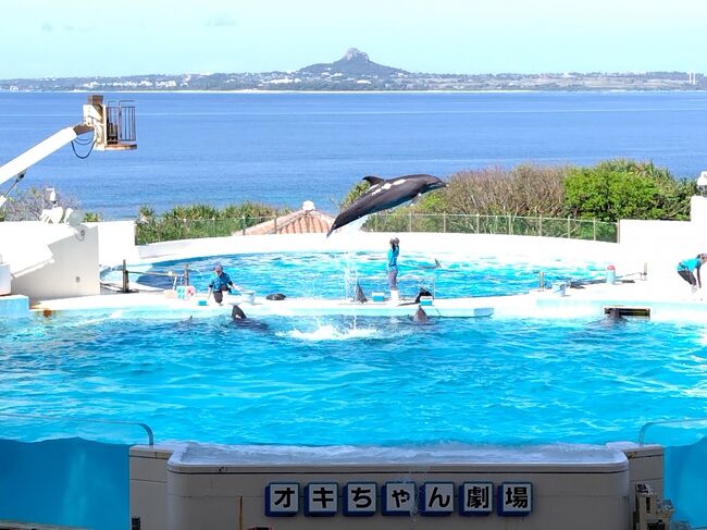 コロナ下では、２月の沖縄の風物詩、野球のキャンプも入場が大きく規制されたりしていました。<br /><br />今年はキャンプ地も全面開放。<br />そこで、感染対策は万全にしつつ、５年ぶりのキャンプ巡りをしました。<br /><br />全体的に天気も良く、本州なら初夏のような陽気。<br />キャンプ地めぐりに加えて、海沿いの観光地を少し観光しました。<br /><br />キャンプ地も今年は久々なので、混んでましたね。<br /><br />後半は、名護から向かった海洋博公園、その帰りに立ち寄った中日（北谷）、横浜（宜野湾）のキャンプ地めぐりが中心です。