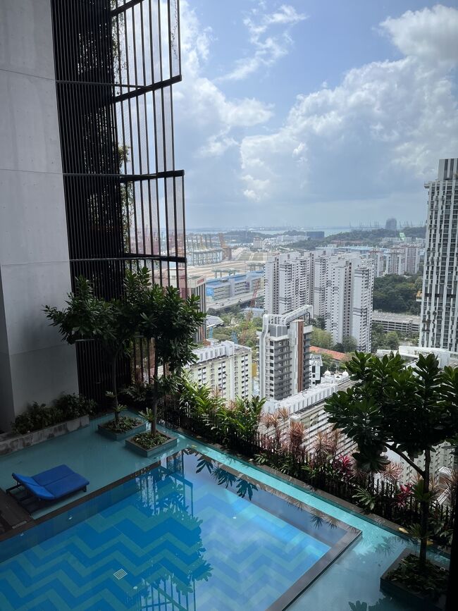 マニラからシンガポールへ一泊旅行。<br />数年間住んでいたシンガポールは思い出がたくさん詰まった特別な国。<br />高層ビルがさらに増えた新しい街並みに驚き、路地裏の変わらぬ風景にホッとし、懐かしいローカルフードの味を堪能した24時間でした。