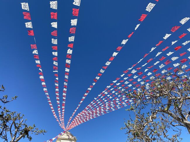 San Jose del Cabo 滞在、2023年2月4日から7日