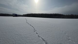 2023・2真冬の北海道・白銀の世界を歩く～その10・美瑛の丘を歩きそして帰路へ～