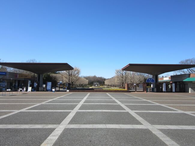 ２０２３年２月に昭和記念公園を散策しました。