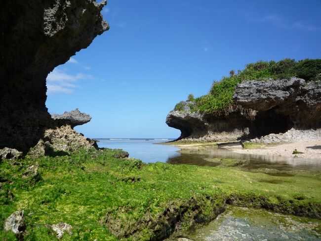 3年ぶりの沖縄訪問です。<br />石垣、沖縄は2月にしか来ていませんが、初めて3日とも晴天に恵まれました。<br />草木はまだ深緑ではないですが、毎日25度に近い気温と日差しは夏の暑さが想像できます。毎回持ってくる服を悩みますが、今回もあっていませんでした。<br /><br />前回までに沖縄本土の観光地をおおよそ訪れましたので、今回はアーサー狩りを楽しみ、人が少ない場所で自然に浸ってゆったりとした時間を過ごしました。<br />また、何気なく寄った食事どころでは、毎回初めて食べるもので本当に満足した3日間でした。<br /><br />PS.<br />後日ホテルサンパレス球陽館　さんからの南国フルーツが届きました。当選です。生涯の運を使い果たしたみたいです。