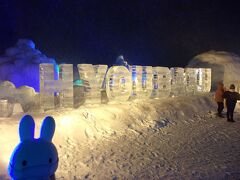 うちの相方が凍ったΣ(･ω･ﾉ)ﾉ！？氷の芸術「氷瀑」を求めて、層雲峡温泉氷瀑まつり見物と北海道スキーの旅