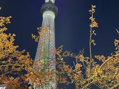 東京散歩2023年2月