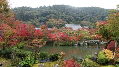 京都　南禅寺界隈別荘群　春夏秋冬　ブルーレイ Amazon.co.jp: 京都 南禅寺界隈別荘群 春夏秋冬 ブルーレイ【NHK