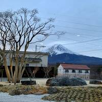 東京⇔河口湖を高速バス移動＆現地レンタカーで参拝・観光・絶景の旅