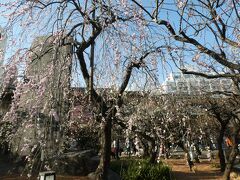 東京　小石川後楽園と湯島天満宮の観梅　その&#9462;