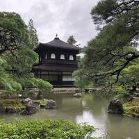 緑の美しい夏の銀閣寺から、哲学の道、南禅寺へ。