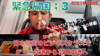 緊急帰国3　日本航空のビジネスクラスでデリー空港から羽田空港へ