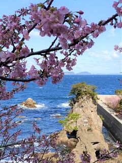 津久見川津桜と青い海　国宝臼杵石仏　大分温泉の旅２