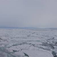 マイルで流氷♪何処も満員★紋別～網走～ウトロ～野付半島 3泊4日〈ひがし北海道エクスプレスバス1号＆おーろら号〉