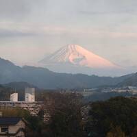 峠道を通って伊豆長岡温泉へ