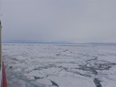 マイルで流氷♪何処も満員★紋別～網走～ウトロ～野付半島 3泊4日〈ひがし北海道エクスプレスバス1号＆おーろら号〉