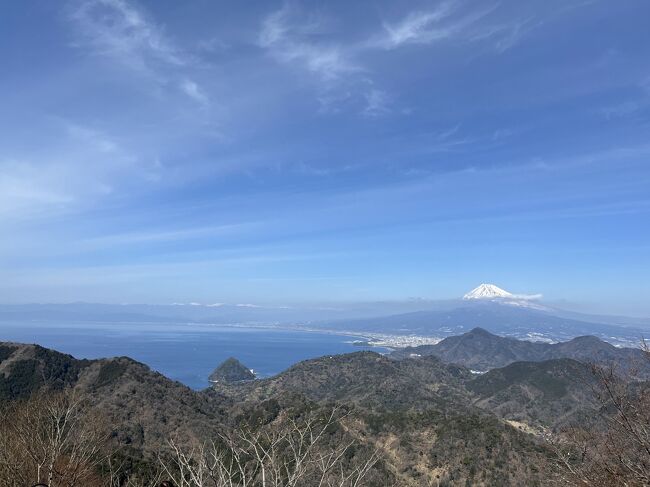 ペット連れで行く「ふじのくに」の旅（伊豆）