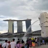 海外水族館遠征 シンガポール 1 街歩き