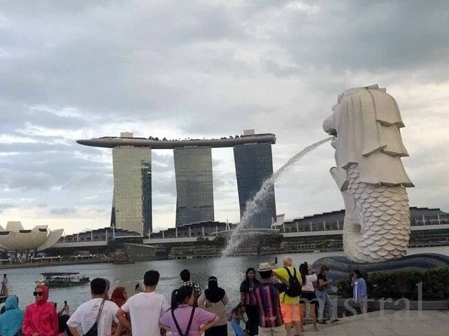 海外水族館遠征 シンガポール 1 街歩き