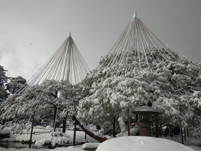 「雪の白川郷のライトアップを見たい」<br />今回の旅は、旅友Hちゃんの数年来の悲願から始まりました。私とMちゃんはその悲願を達成すべく「白川郷のライトアップ」訪問を目的に今回の旅行を計画しました。<br /><br />期間限定(～平成5年3月)、50歳以上が使用可能で、JR西日本全線の新幹線・特急列車が5日間乗り放題になる西なびグリーンパスを利用しました。5日間乗り放題のパスを利用するので4泊5日の旅程でがっつり遊びます。金沢に4泊して楽しんだおばちゃん3人組の旅行記です。<br /><br />1日目　金閣寺のライトアップ・・・①<br />2日目　白川郷のライトアップ・・・②<br />3日目　富山美術館巡り・・・③<br /><br />今回の旅は、ずっとお天気に恵まれませんでした。初日から３日目までずっと雨(涙)　雪は覚悟していましたが、まさか雨とは・・・。やっと、３日目の夜半から雨から雪に変わってくれました。<br /><br />雪の兼六園に出会えた、４日目の旅行記です。