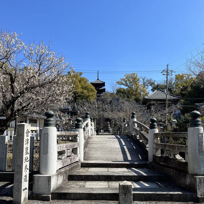 2月とはいえ暖かい日も増えてきた京都。<br />旅行中は気温17度、天気は快晴で観光日和。<br /><br />【2日目】<br />観光　　金戒光明寺、晴明神社<br />昼食　　洋食ゴーーンズ<br />夕食　　要庵西冨家<br />宿泊　　要庵西冨家<br /><br />グルメとラグジュアリーホテルを堪能しまくります！<br />(´∀｀*)