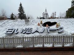 冬の北海道観光　子供も喜ぶ『円山動物園』と『白い恋人パーク』