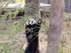 ☆　のんびりゆったり　ほのぼの大島旅