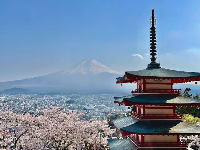 竜ヶ岳からでっかい富士山を観てきた。