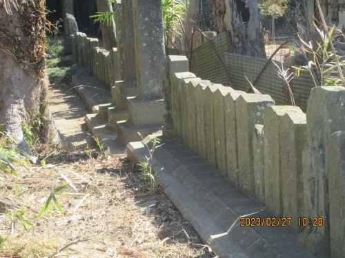 印西市笠神の笠神社の百庚申旧本埜村の「笠神様」とよばれる神社境内には、左右二列に、慶應元年～3 年（1865～7）の 3 年間に 建立された「百庚申」が立ち並んでいます。青面金剛像塔 17 基、「庚申塔」銘文字塔 78 基、計 95 基。大 きさは、像塔が高さ 60 ㎝前後、文字塔が 48 ㎝前後で、いずれも駒型です。青面金剛像の像容は、剣とショケラを持つ六臂像で、頭部がとがり、足元の邪鬼は、石工の個性がよく 出ていて、その正面を向く姿はとてもユーモラスです。また像塔 1 基と文字塔 4 基の計 5 基分の損傷した 石塔が列の後ろに寄せてあり、これを復元すると、元は像塔 18 基、文字塔 82 基の計 100 基で、像塔 1 基に文字塔 4 基のサイクルで連続して並べられていたと思われます。 百庚申以外には、5 基の庚申塔があり、最古は享保 7 年（1722）銘の青面金剛像塔です。また慶應 3 年銘（1867）大型の文字塔は、百庚申完成供養を目的に建立されたと推定されます。 <br />2019.3.2 明治大学博物館友の会 2019 年会員発表会 レジュメ 。北総の「百庚申」蕨 由美さわらびYの歴史・民俗・考古探索ノート　印西市笠神の笠神社と蘇羽鷹神社。リンク許可済み　http://sawarabituusin.cocolog-nifty.com/notebook/2016/02/s-19-1b5e.html