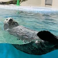 しまかぜに乗って鳥羽水族館へ～美食の隠れ家プロヴァンス