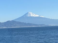 富士山満喫と河津桜