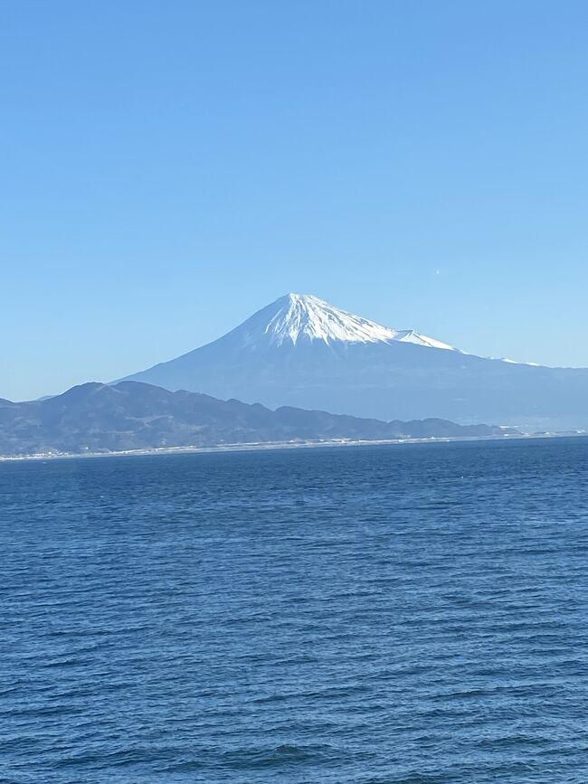 阪急交通社のバスツアーに参加<br />『駿河湾フェリー乗船　一度は行きたい河津桜まつりとかんなみの桜　日帰り』<br /><br />集合時間が早朝なので駅前に宿泊しました。