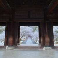 4年ぶり！全国旅行支援利用して冬の京都旅