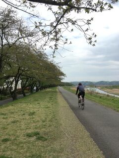 【東京を自転車で走る旅】(1) たまリバー50km 羽村・福生