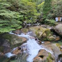 15年ぶり2回目、2月の屋久島2日目白谷雲水峡