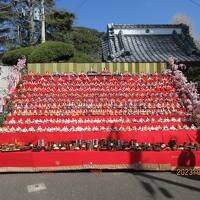 勝浦ビッグひな祭り：遠見岬（とみさき）神社、覚翁寺（かくおうじ）、墨名（とな）交差点の会場を巡った。