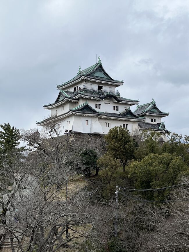 本日のJGC修行は、関空往復です。<br />あとは、和歌山へ行って和歌山城を観て、<br />和歌山ラーメンを食べれば、目的達成!<br />鉄道好き、城好きな私にはフルコースの旅です。<br /><br />和歌山へは、南紀へ旅行したことがあるけれど<br />西側もいいですね。<br />ゆっくりと城下町の散策もしたいなぁ。